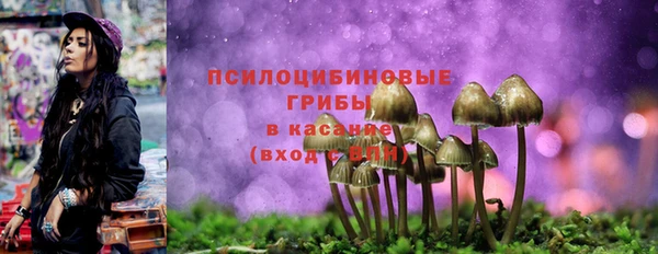 2c-b Алзамай